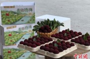 梦见喜被高速赋能产业升级：一条“杨梅路”的致富密码